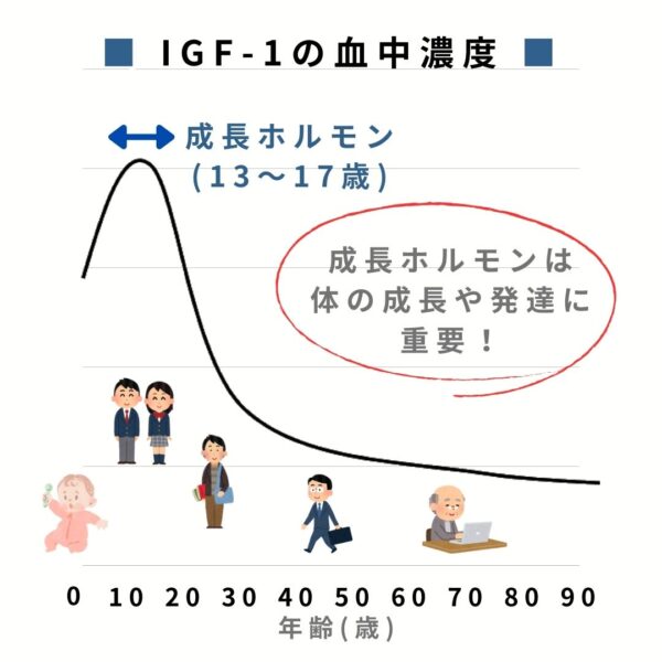 IGF-1の血中濃度